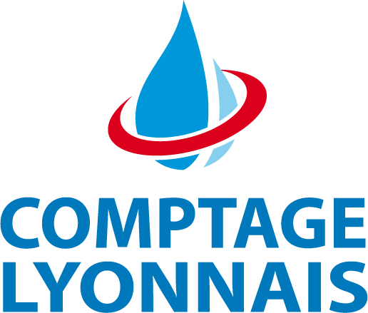 Comptage Lyonnais